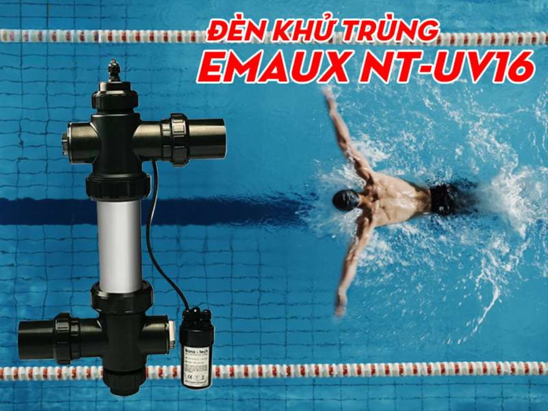 Hồ bơi có mùi Clo